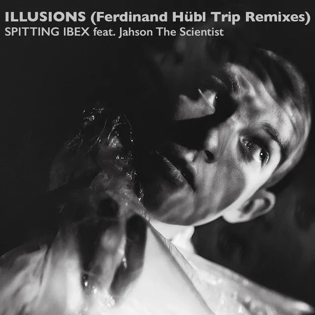 Illusions (Ferdinand Hübl Short Trip Remix)