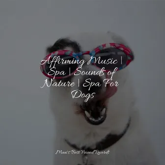 Healing Spa & Relaxation For Dogs by Dog Music Club