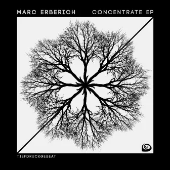 Concentrate EP by Marc Erberich