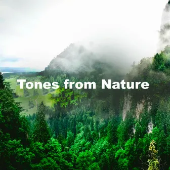 Tones from Nature by Unknown Artist