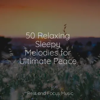 50 Relaxing Sleepy Melodies for Ultimate Peace by Unknown Artist