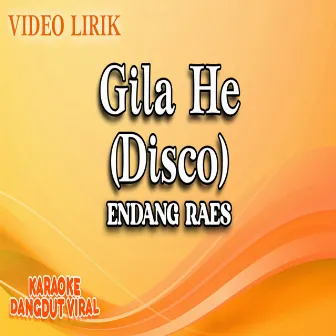 Gila He (Disco) by Endang Raes