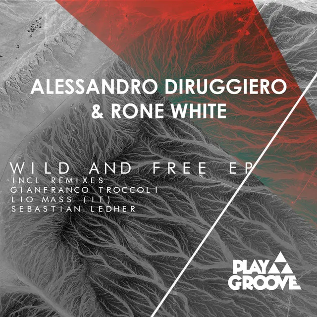 Wild And Free - Gianfranco Troccoli, Lio Mass (IT), Sebastian Ledher - Remix