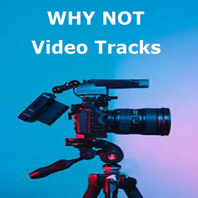 Video Tracks