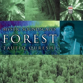 Mystic Soundscapes: Forest by Taufiq Qureshi