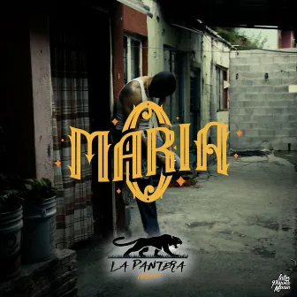 O María by La Pantera Urbana