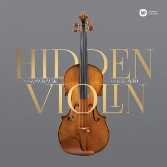 Hidden Violin by Janusz Wawrowski