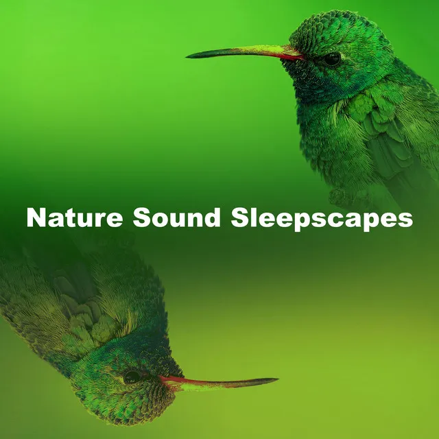 Nature Sound Sleepscapes