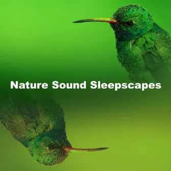 Nature Sound Sleepscapes by The Sounds Of Nature