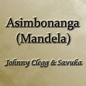 Asimbonanga (Mandela) by Johnny Clegg & Savuka