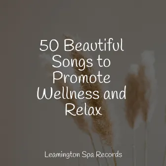 50 Beautiful Songs to Promote Wellness and Relax by Guided Meditation