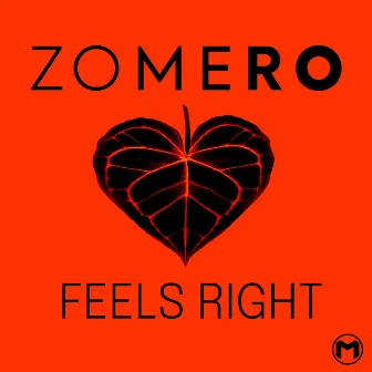 Feels Right by ZOMERO