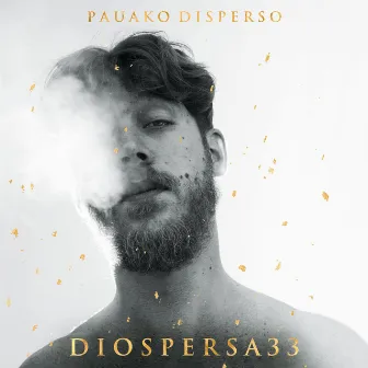 Diospersa33 by Pauako Disperso