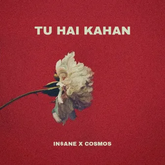 Tu Hai Kahan by COSMOS