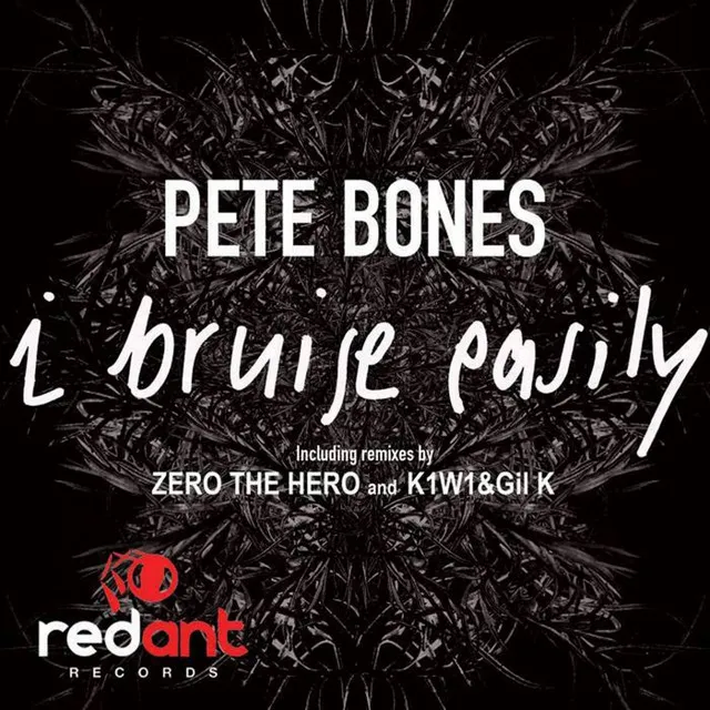 I Bruise Easily - Zero the Hero Remix