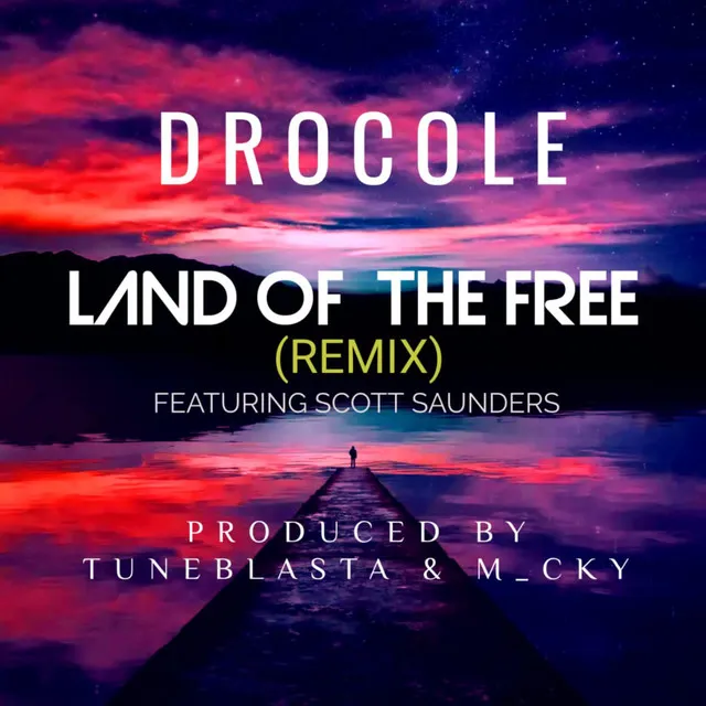 Land Of The Free - Remix