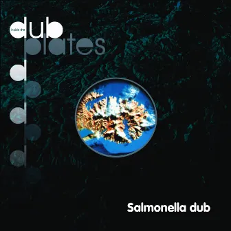 Inside the Dubplates by Salmonella Dub