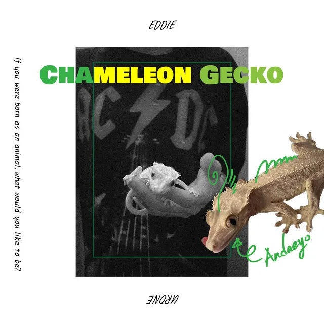 Chameleon Gecko (feat. urone)