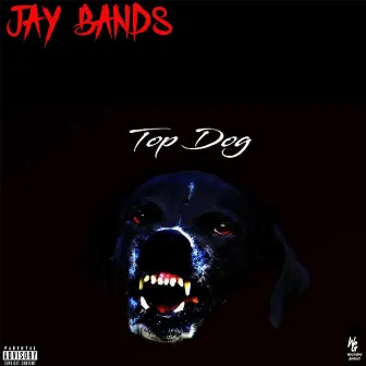 Top Dog by Jay Bands