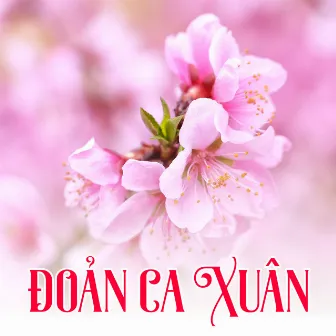 Đoản Ca Xuân by Hoài Anh