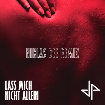 Lass mich nicht allein (Niklas Dee Remix) by JP