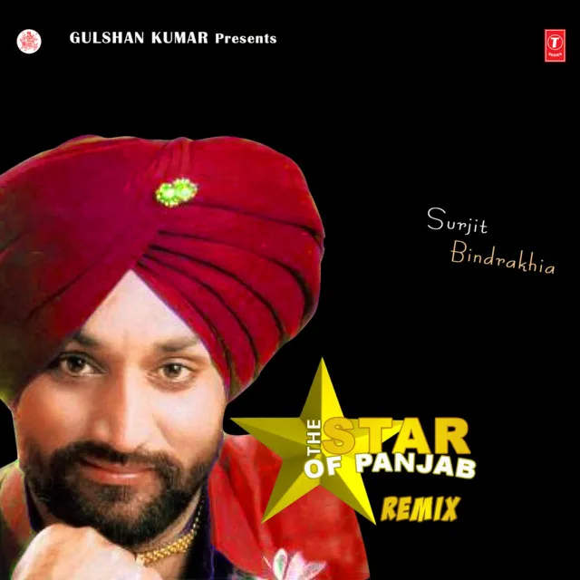 The Star Of Punjab Remix