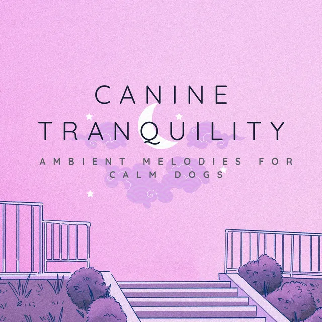 Canine Tranquility: Ambient Melodies for Calm Dogs