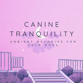 Canine Tranquility: Ambient Melodies for Calm Dogs by Music for Dogs Playlist