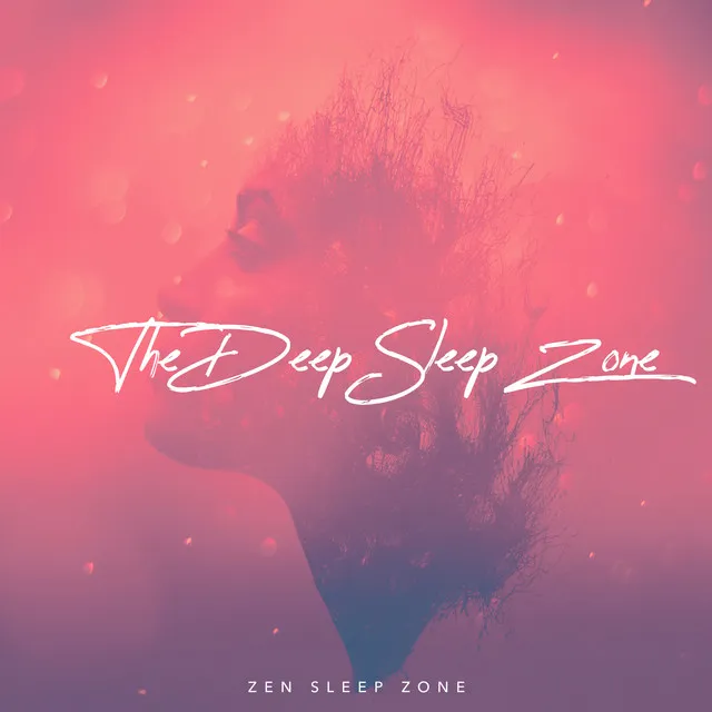 The Deep Sleep Zone