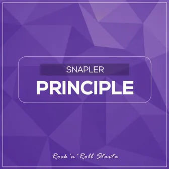 Principle by Snapler