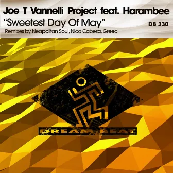 Sweetest Day Of May by Joe T Vannelli