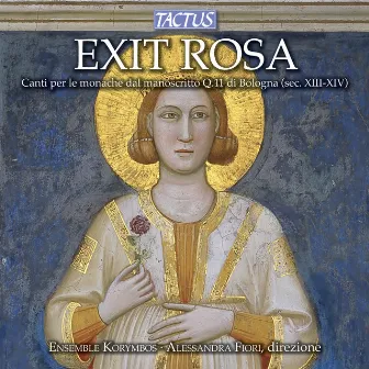 Exit Rosa by Alessandra Fiori