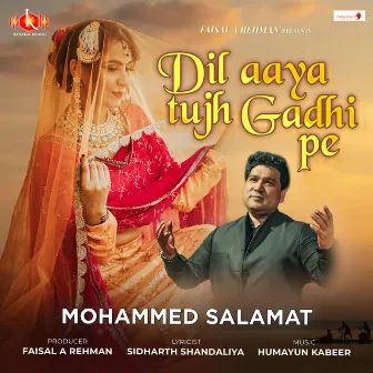 Dil Aaya Tujh Gadhi Pe by Mohammed Salamat