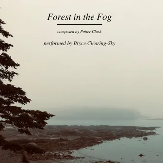 Forest in the Fog by Potter Clark