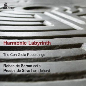 Harmonic Labyrinth by Rohan De Saram