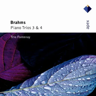 Brahms : Piano Trios Nos 3 & 4 (Apex) by Trio Fontenay