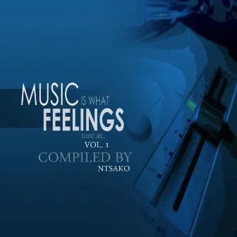 Music Is What A Feeling Sound Like, Vol. 1 (Compiled By Ntsako) by Ntsako