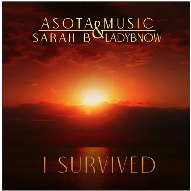 I Survived Sarah B Ladybnow