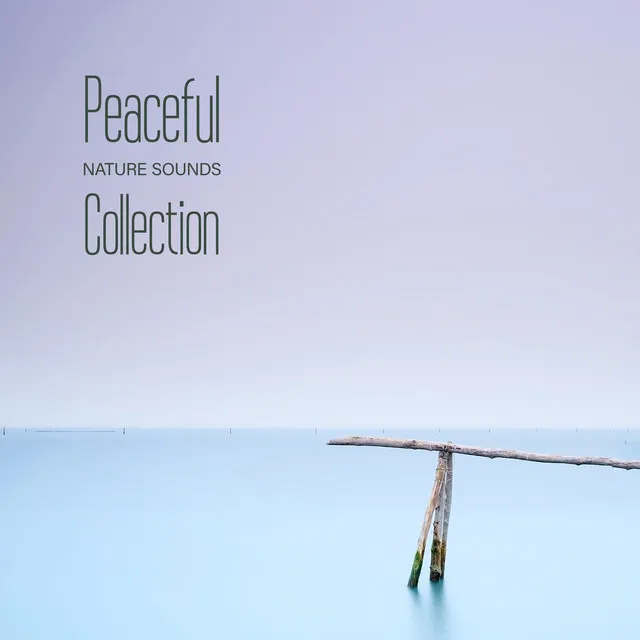 Peaceful Nature Sounds Collection - Inspirational New Age Songs Great for Relaxation, Meditation, Yoga or Sleep