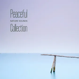 Peaceful Nature Sounds Collection - Inspirational New Age Songs Great for Relaxation, Meditation, Yoga or Sleep by New Beginning Music Masters