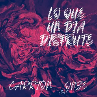 LO QUE UN DIA DISFRUTÉ by Carrion