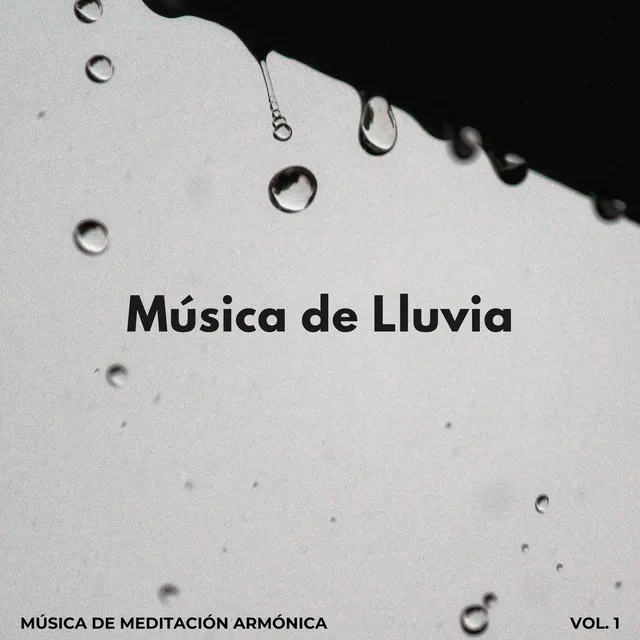 Música De Lluvia: Música De Meditación Armónica Vol. 1