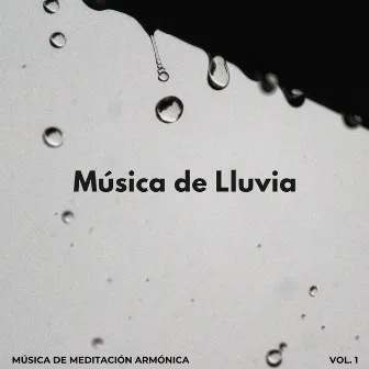 Música De Lluvia: Música De Meditación Armónica Vol. 1 by Meditación Musicoterapia