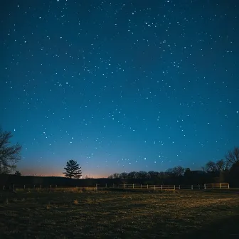 Música Para El Sueño: Notas Nocturnas by Música para el sueño absoluto