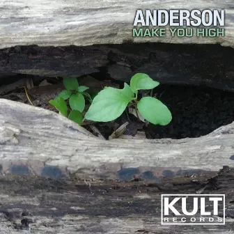 Kult Records Presents: Make You High by Anderson