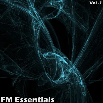 FM Essentials - Volume 1 by Eitan Carmi