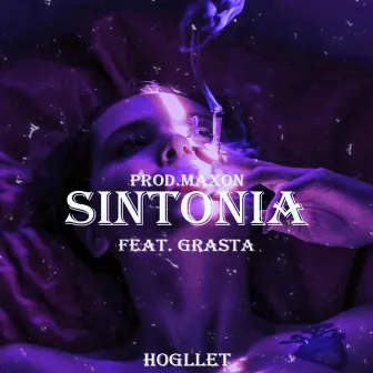 Sintonia by H ø g l l ē t