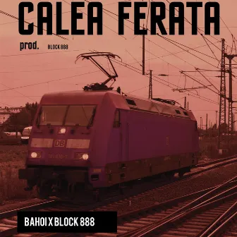 Calea ferată by Bahoi