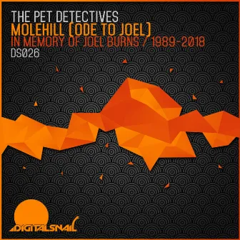 Molehill (Ode To Joel) by The Pet Detectives