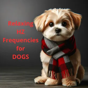 Relaxing Hz Frequencies for Dogs by Dog Music Hz